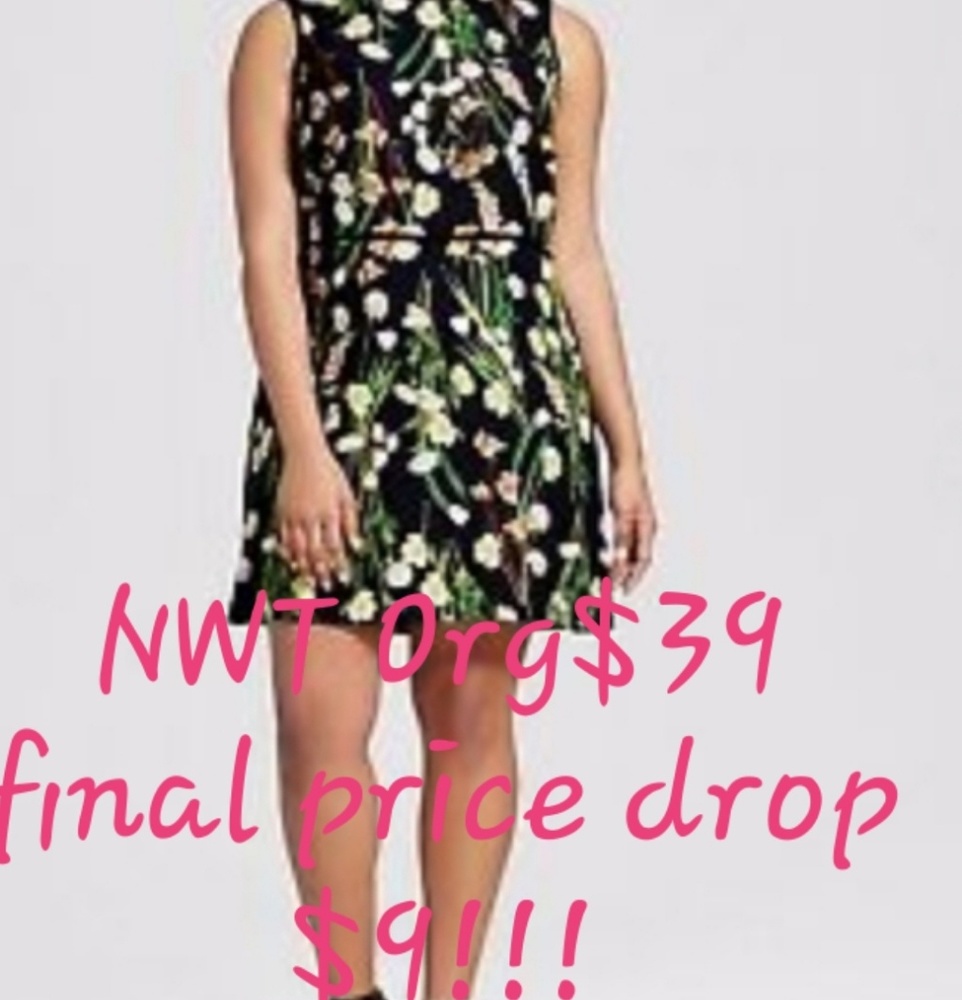 ❤🐝 Final markdown 5 star rating!!! - Picture 1 of 1